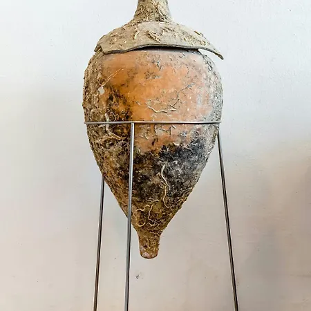 Tara Apartment Split